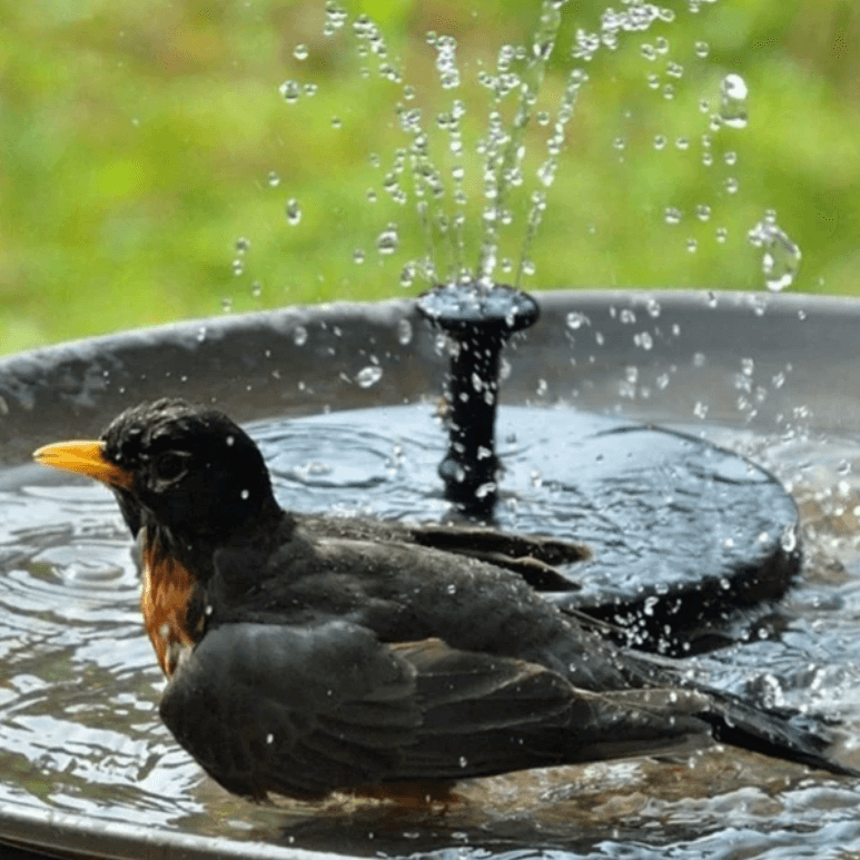 outdoor equipment : LED Zonne Water Fontein in van Pantino