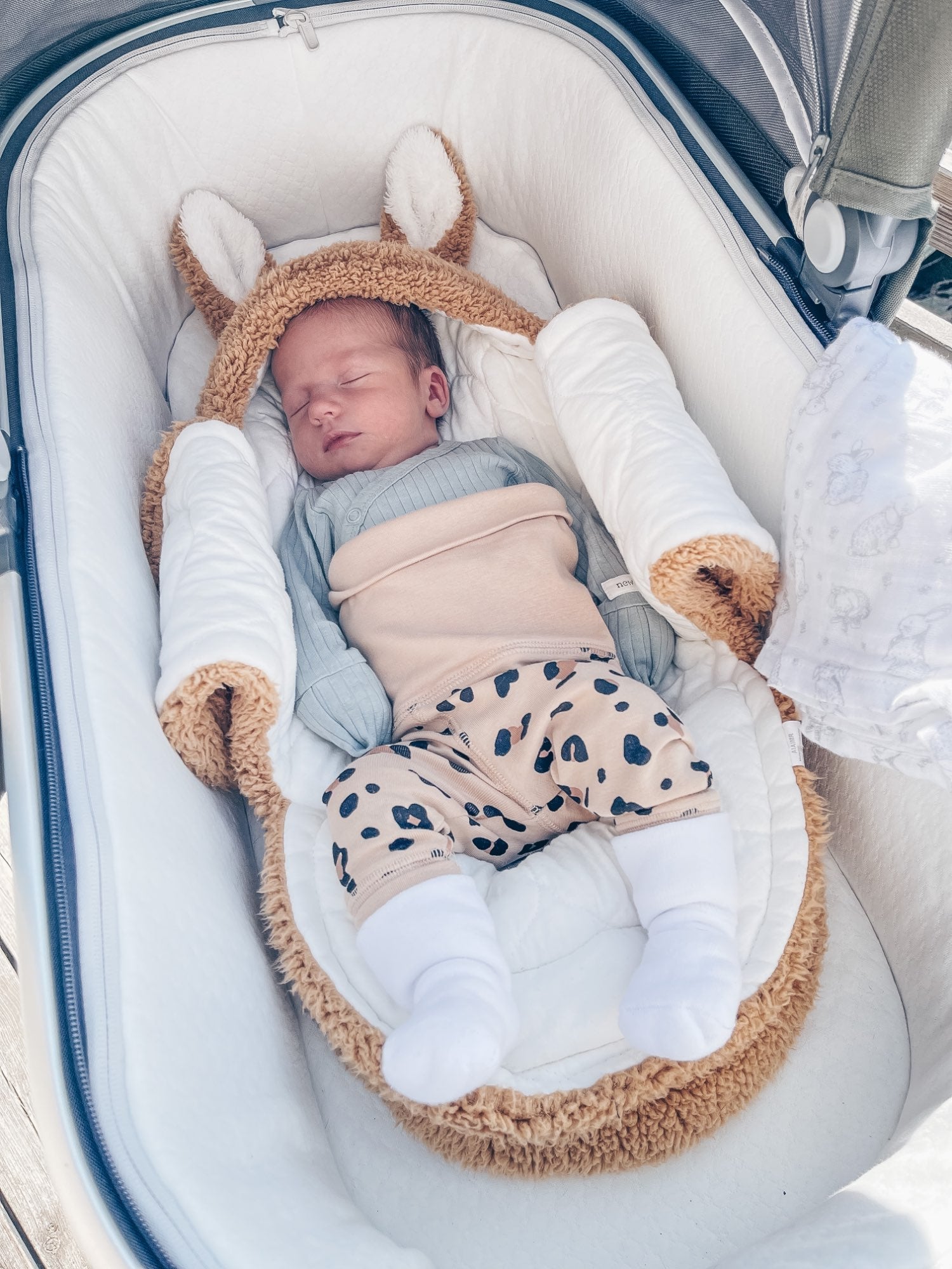 pets : De Bear Blanket™ | Meest knusse en veilige slaap! in van Pantino