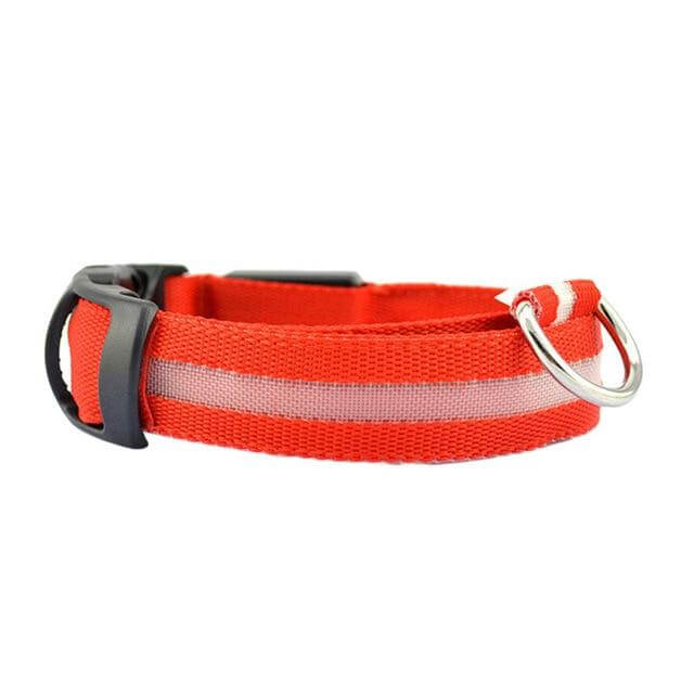 pets : LED Halsband in Oranje van Pantino