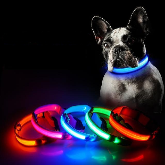 pets : LED Halsband in Blauw van Pantino