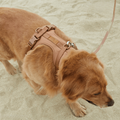 ComfyPaws - Sæt med hundesele og snor (inkl. snor og skraldeposeholder) - Brun