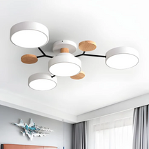 Ronde LED plafondlamp, voor verlichting Hout – Premium Kwaliteit