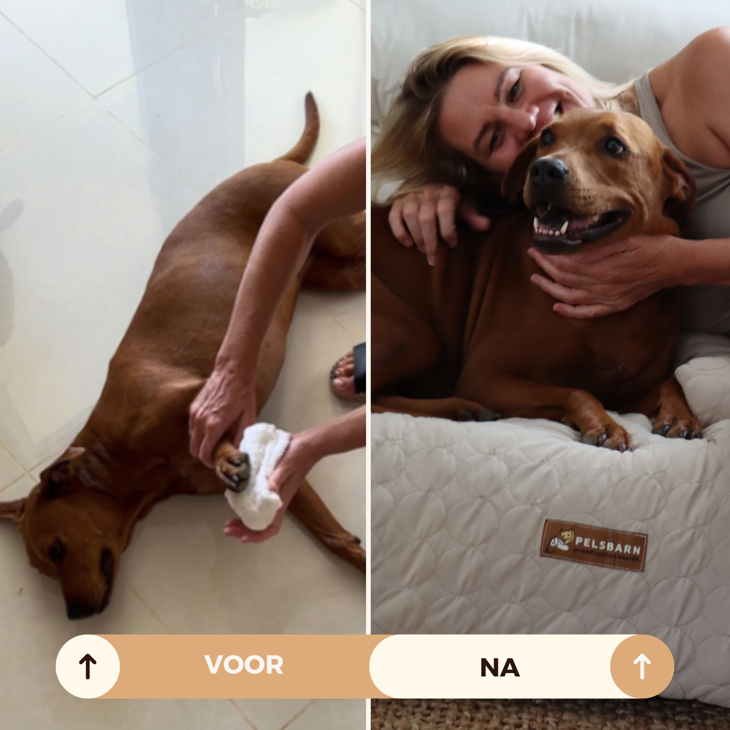 Verkoelend honden bed - - - Pantino