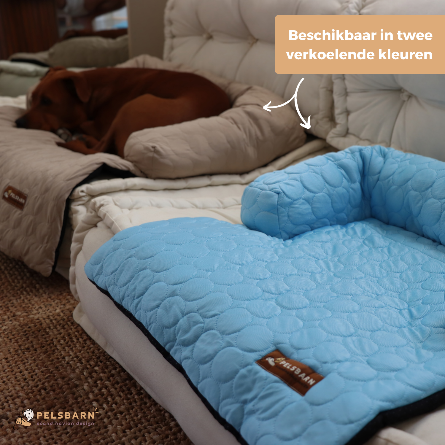 Verkoelend honden bed - - - Pantino