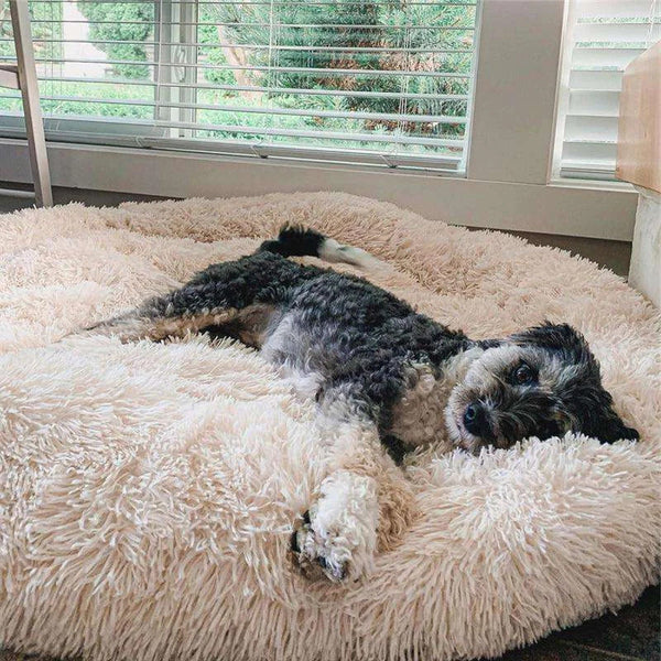 FluffyBed - Lang donutbed van pluche 200003745 Pantino Abrikoos XS - 40cm 