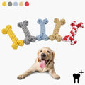 Hunde Tyggeben Dental Care - Tand- og mundbeskyttelse - Nylon
