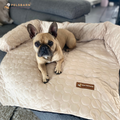Letto Rinfrescante per Cani - Azzurro Chiaro