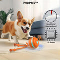 PupPlay - Divertimento Forte e Duraturo