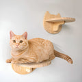 Kattenklimplank Wandmontage - Krabpaal Instinct Training - Hout