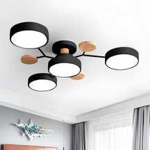 Ronde LED plafondlamp, voor verlichting Hout – Premium Kwaliteit