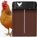 Porta Automatico per Galline - Timer e Sensore di Luce - Verde - Sicuro e Facile da Usare