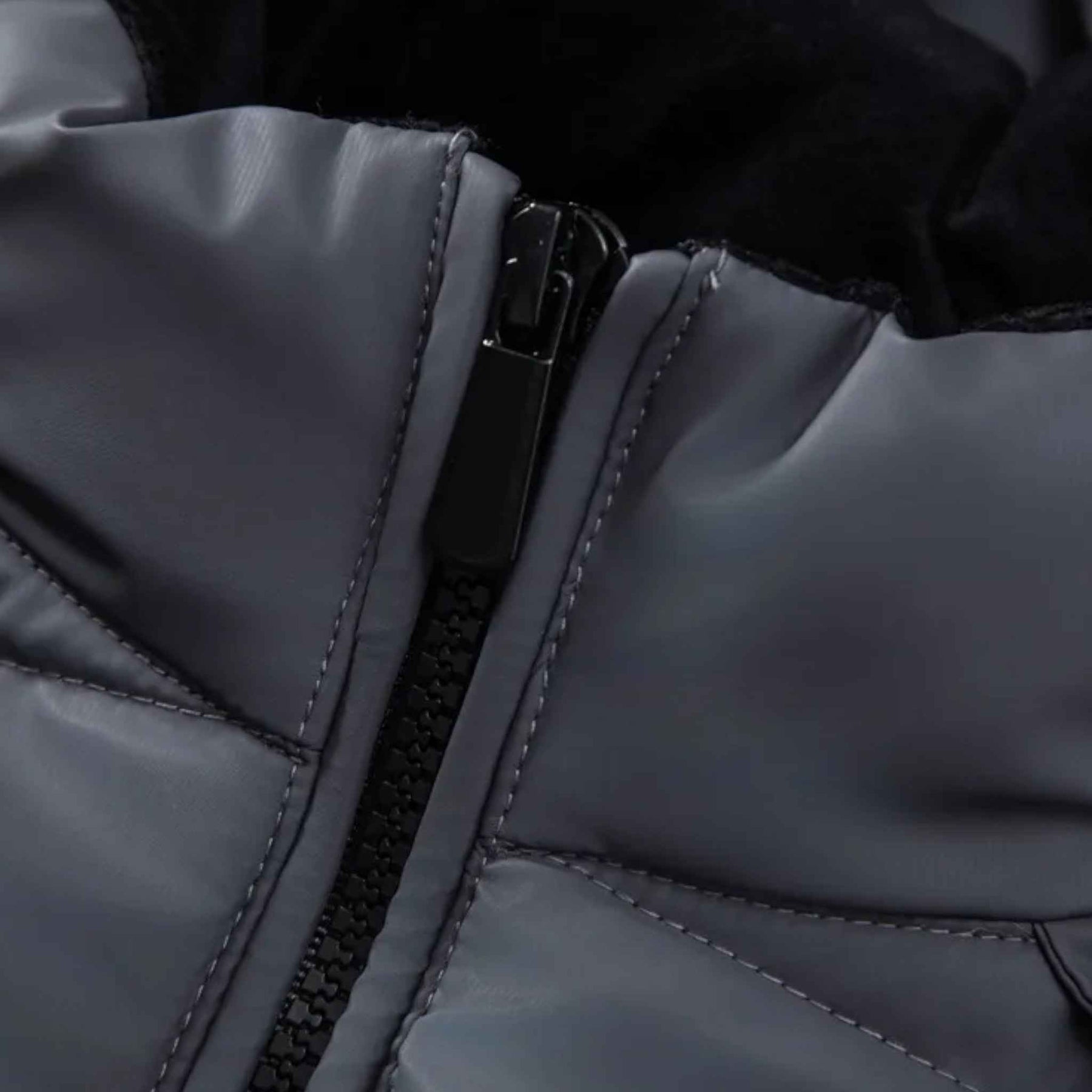 Jackets : Alfie | Winterjas – Stijl en warmte in perfecte harmonie in van Pantino