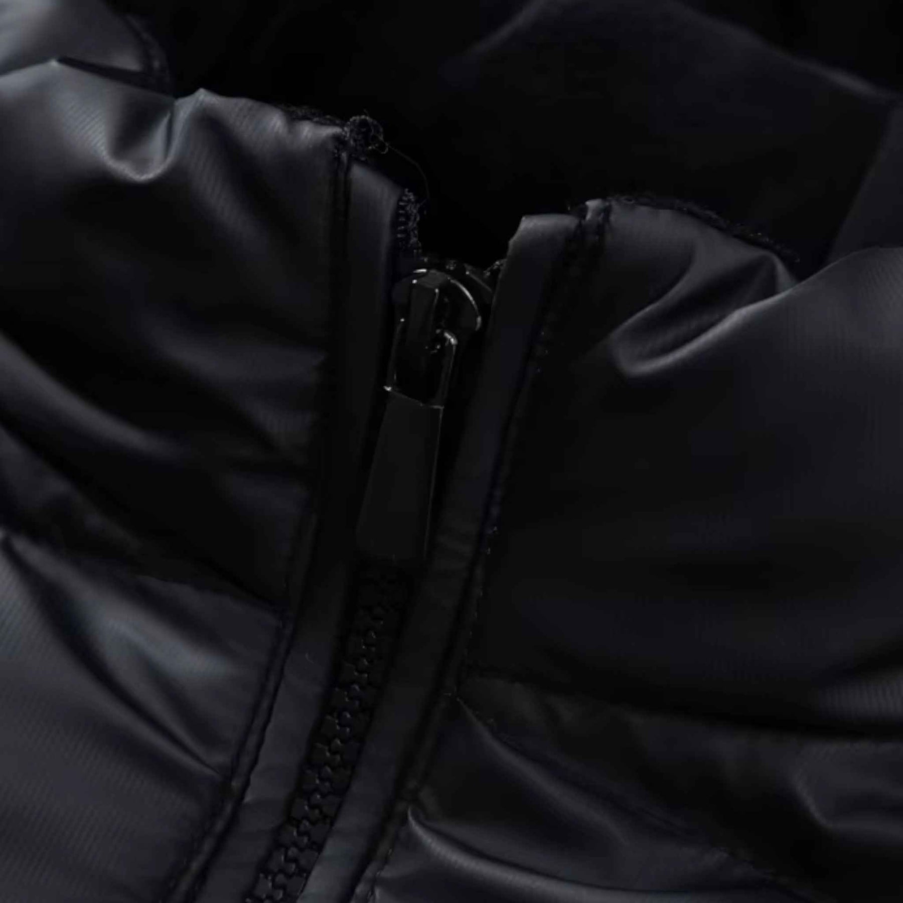Jackets : Alfie | Winterjas – Stijl en warmte in perfecte harmonie in van Pantino