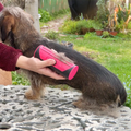 Spazzola PupGroomer per Sottopelo e Pelo