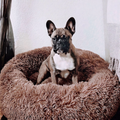 PawZen - Cuccia per Cani Confortevole - Comfort Estremo