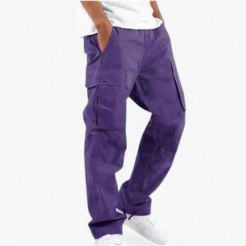 Men's Pants : Daan | Cargobroek in Paars van Pantino
