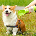 Botella para perros 3 en 1 gris - Botella de agua con contenedor de comida - Plástico