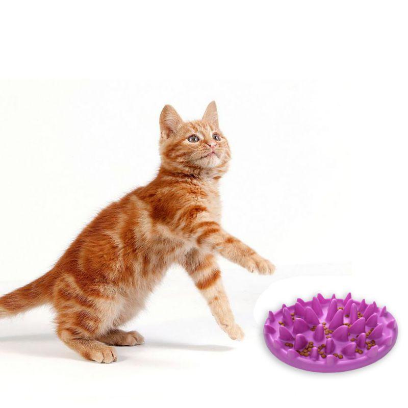 Kattenvoerbak met Anti-Schrok Ontwerp Anti-schrok Voerbakken Pantino   