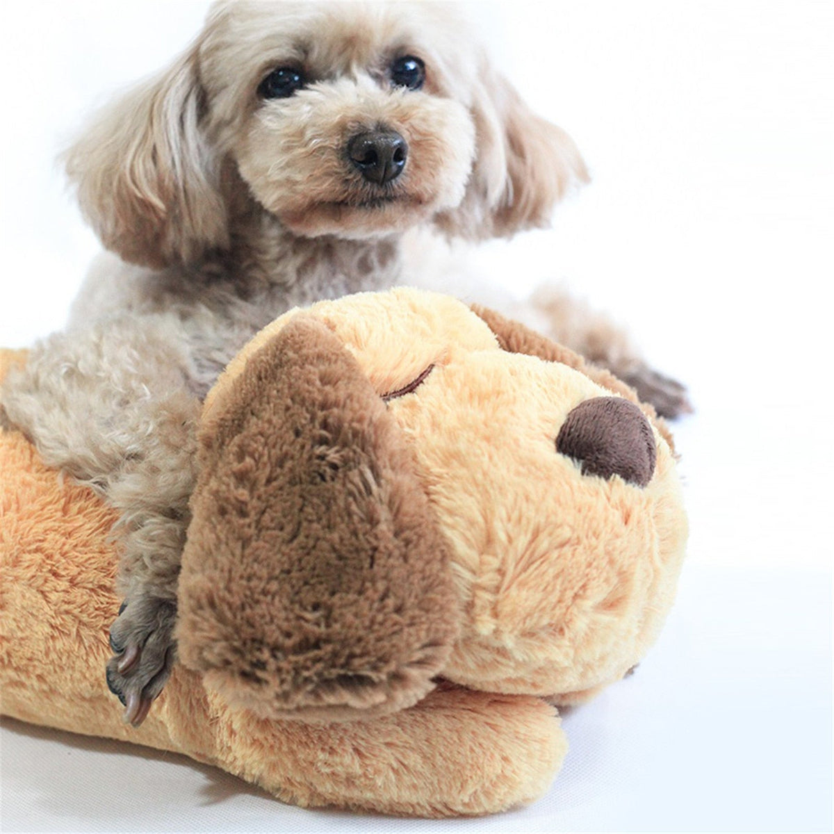 CuddlePup | Een rustgevend vriendje voor jouw viervoeter! - - Dog Toys - Pantino