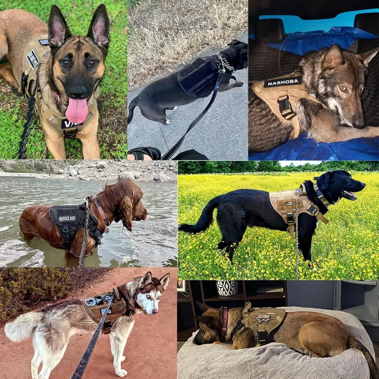 Zwart Nylon Tactisch Militair Verstelbaar Harnas voor Grote Honden met Vest en Handvat