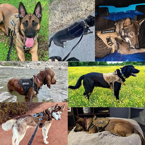 Zwart Nylon Tactisch Militair Verstelbaar Harnas voor Grote Honden met Vest en Handvat