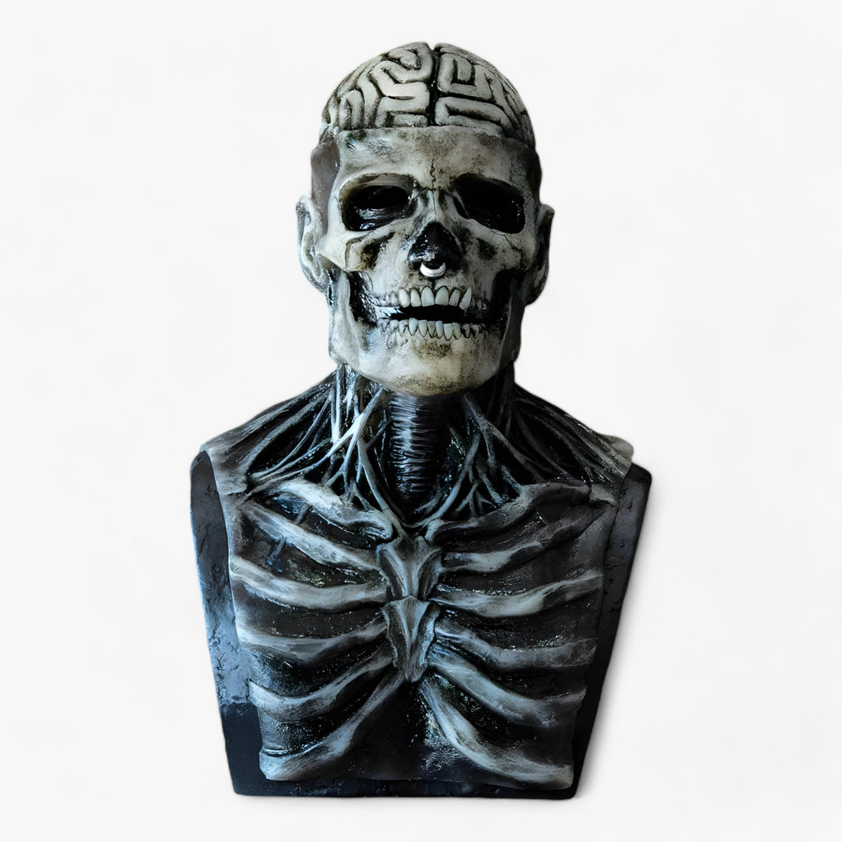 Victor | Latex Hoofd Skeletmasker Halloween - Skelet Effect voor Kostuum en Decoratie - masker 2 - Victor | Latex Hoofd Skeletmasker Halloween - Skelet Effect voor Kostuum en Decoratie - €25 - Pantinoshop