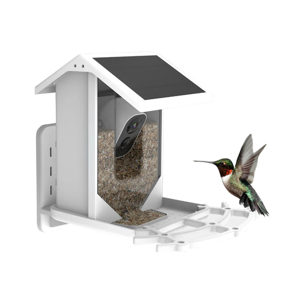 Auxco | Smart Bird feeder  Pantino   