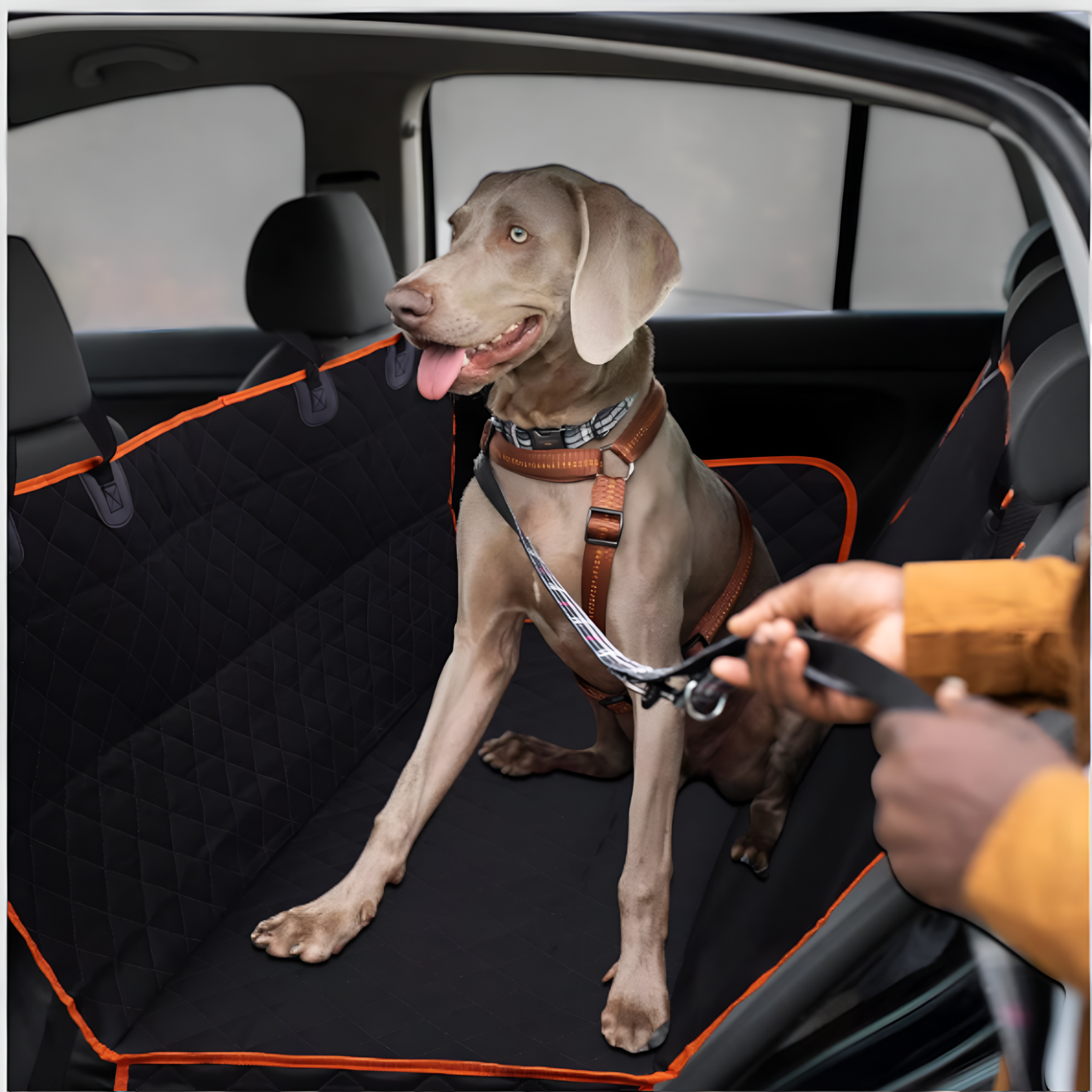 pets : Hartboden | Autositzerweiterung für Hunde - Komfortabel und sicher auf Reisen für deinen Hund in van Pantinoshop