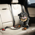 PetGuard Cintura - Viaggia Sicuro con il Tuo Cane - Nero