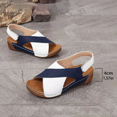 Luna | Minimalistische Scandinavische Sandalen - Perfect voor Dames die van Een Eenvoudig en Modebewust Design Houden - Blauw - Luna | Minimalistische Scandinavische Sandalen - Perfect voor Dames die van Een Eenvoudig en Modebewust Design Houden - € - Pantino