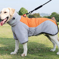 TrainPaws - Chaqueta impermeable para perros - Gris y naranja