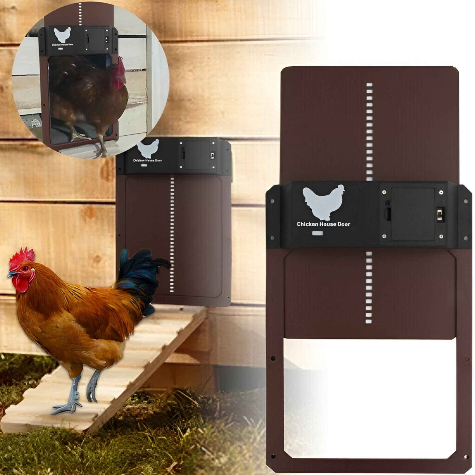 Automatyczne drzwi solarne PRO+ do kurnika - czujniki światła i inteligentny timer