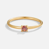 Birthstone 18K Ring - Januari - Red Garnet - Ring - Pantino