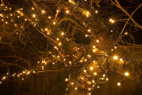 Vella LED Licht Wonder™ | waterdichte, draagbare & oplaadbare sfeerverlichting - - Vella LED Licht Wonder™ | waterdichte, draagbare & oplaadbare sfeerverlichting - €25 - Pantino