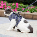 Kattenvest Harnas Set Blauw - Comfortabel & Verstelbaar voor Kleine tot Middelgrote Katten