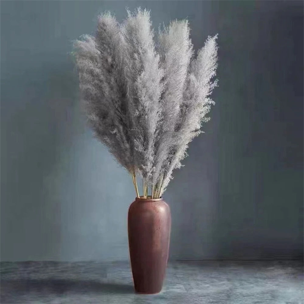 FeatherFawn - Gedroogde Pampas Bloemen - - Home - Pantino