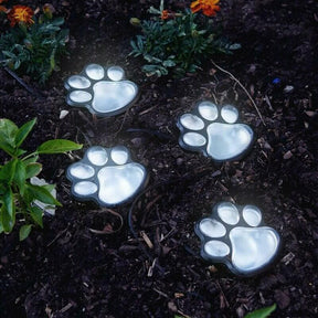 Paw Print Lampjes op zonne-energie - - Garden - Pantino