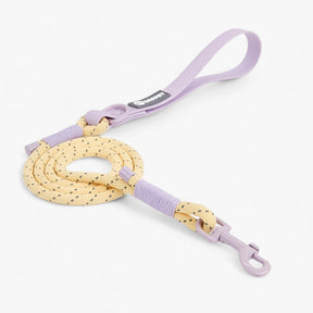 PAWFECT PALS | Hondenhalsband-Set - Opvallend ontwerp met duurzaam PVC- €25 : PAWFECT PALS | Hondenhalsband-Set - Opvallend ontwerp met duurzaam PVC in Lila Hondelijn van Pantinoshop