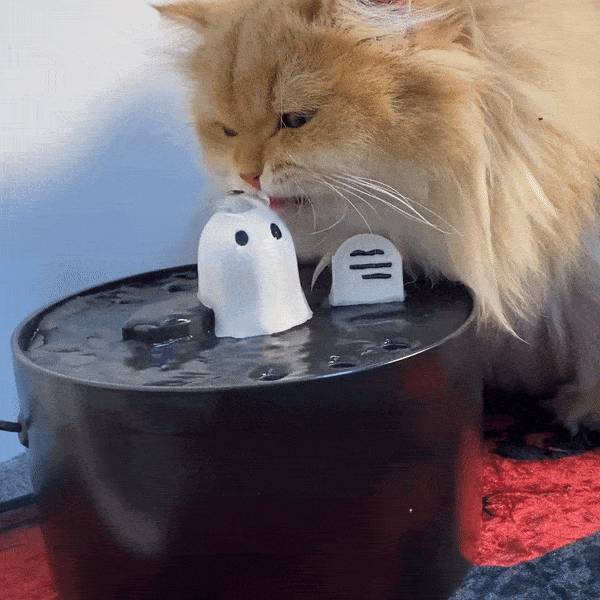 Verhoog de hydratatie van jouw kat met een 52.8oz/1.5L Geest Drinkfontein Drinkfonteinen Pantino   