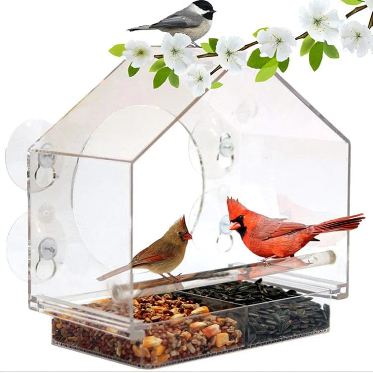 Window Bird Feeder | Gezellige Lentedagen.  Pantino   