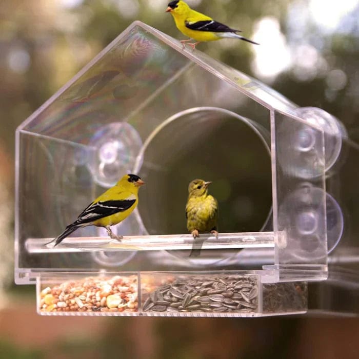 Window Bird Feeder | Gezellige Lentedagen. - - - Pantino