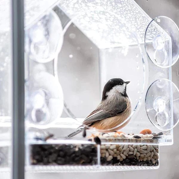 Window Bird Feeder | Gezellige Lentedagen. - - - Pantino