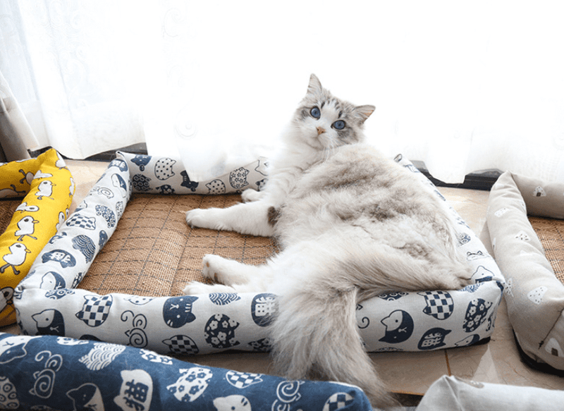 Zomer Huisdier Koelende IJsmat - Multikleurig Vierkant Koel Kattenmand Pantino   