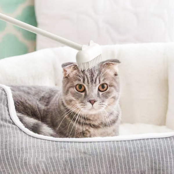 Cat Massage Brush™ Cat Supplies Pantino Nog 2 op voorraad Wit 
