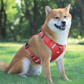 PawEase - Pettorina Antiscivolo per Cani - Arancione