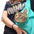 Custodia da Viaggio Comoda per Gatti - Blu