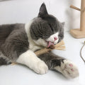 Tiragraffi KittyBliss - Tiragraffi Compatto e Durevole in Cartone per Gatti