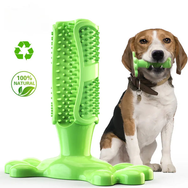 BrushPup™ | Stralend hondengebit in één speeltje Pet Toys Pantino Groen S 