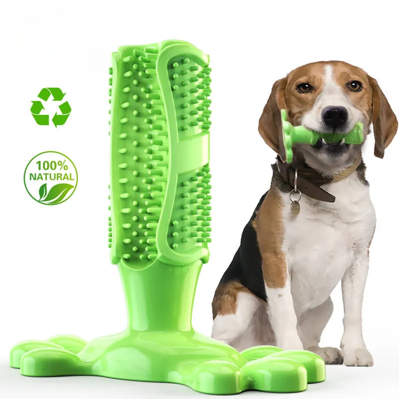 BrushPup™ | Stralend hondengebit in één speeltje - Groen - Pet Toys - Pantino