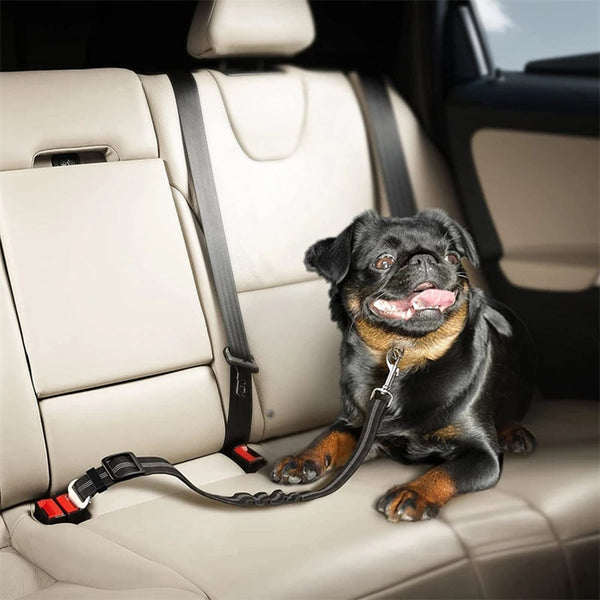 PetGuard Belt™ | Reis Veilig met Jouw Hond  Pantino Zwart  
